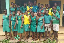 SHS Category D